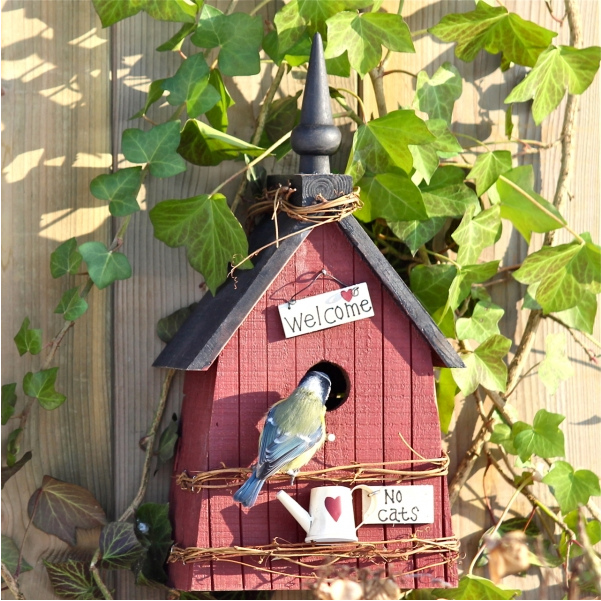 Welche Nistkasten Offnung Fur Welchen Vogel Vogel Und
