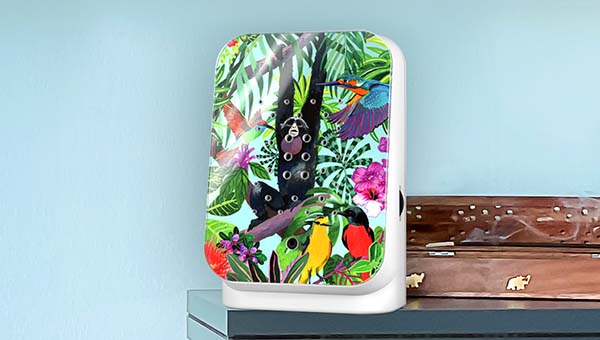 Junglebox
