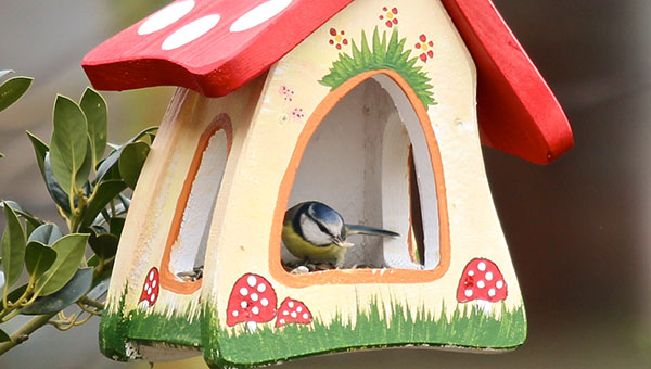 Vogelvilla Futterhaus