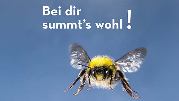 Bücher über Insekten, Nützlinge