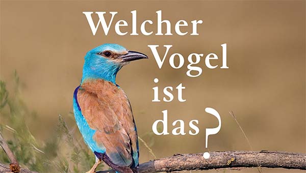 Bücher & DVDs Vögel bestimmen, erkennen