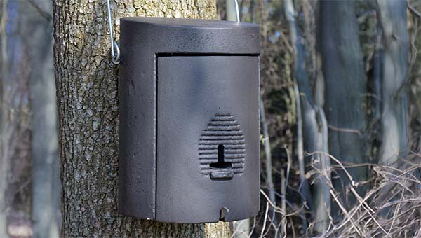 Fledermaus Winterquartier