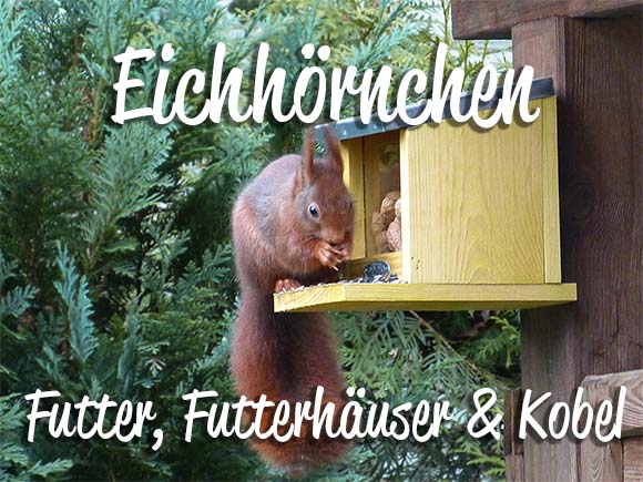 Eichhoernchenfutter, -futterhaeuse, -kobel kaufen