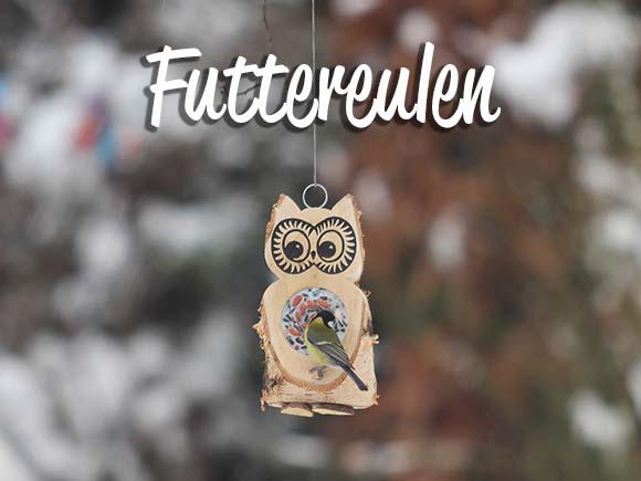 Futtereulen Futtermaennchen Futterhoelzer