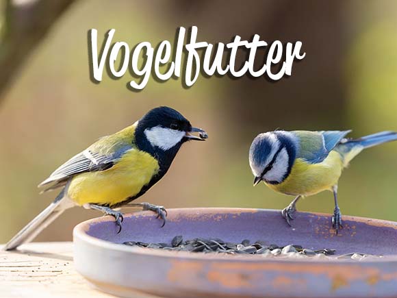 Vogelfutter kaufen