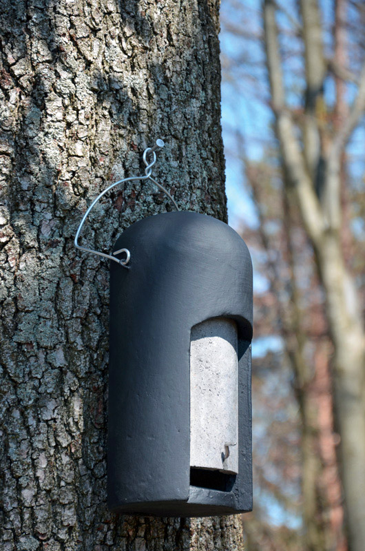 Fledermauskasten am Baum befestigen