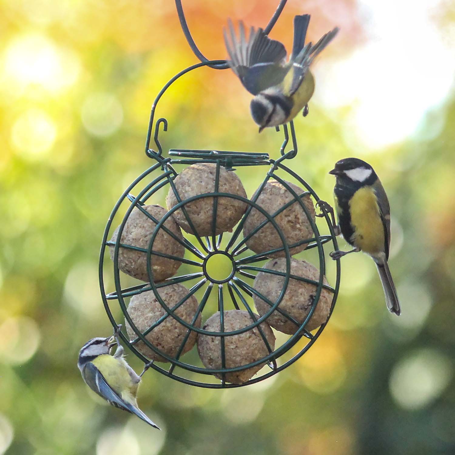 Meisenknödelspender als Ring / Kranz