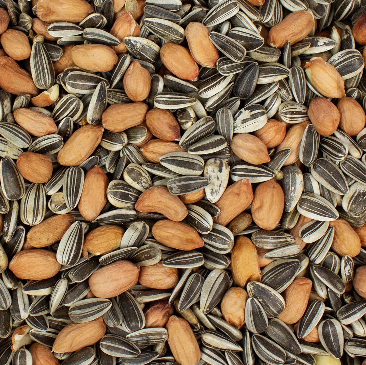 Vogelfutter für Körnerfresser