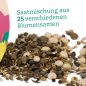 Preview: OwnGrown Schmetterlingstreff Blumenwiese Saatgut