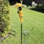 Preview: Regenmesser stehender Frosch im Ostfriesen-Nerz