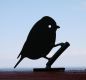 Preview: Silhouette Blaumeise