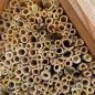 Preview: Bienenhotel klein Rotenburger Werke Insektenhotel für Wildbienen