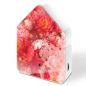 Preview: ZWITSCHERBOX® Cherry Blossom - Poppykalas Edition - inkl. Saugnapf