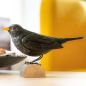 Preview: Amsel handgeschnitzt