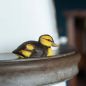 Preview: Stockente Küken handgeschnitzt