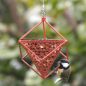 Preview: Erdnuss-Spender Kubus rot Wildlife Garden Futterspender