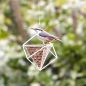 Preview: Erdnuss-Spender Kubus weiss Wildlife Garden Futterspender