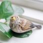 Preview: Spatzen-Küken, Hausspatz Junges handgeschnitzt