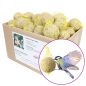 Preview: 50 Meisenknödel mit Insekten und Beeren mit Netz