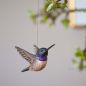 Preview: Schwarzkinnkolibri Holzvogel von Wildlife Garden fliegend