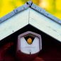 Preview: Schwegler Vorderwand 2HW