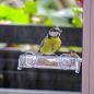 Preview: Schwegler Fenster-Futterschale mit Saugnapf für Fensterscheibe