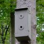 Preview: Schwegler Hornissenkasten Hornissenschutz