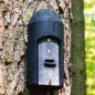 Preview: Schwegler Fledermaushöhle 1FD mit 3-facher Vorderwand