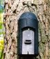 Preview: Schwegler Fledermaushöhle 1FD mit 3-facher Vorderwand