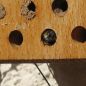 Preview: Schwegler Insektennistholz Insektenhotel Wildbienen