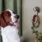 Preview: Wildlife Garden Haken Springer Spaniel