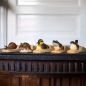 Preview: Türstopper Schnecke handgeschnitzt