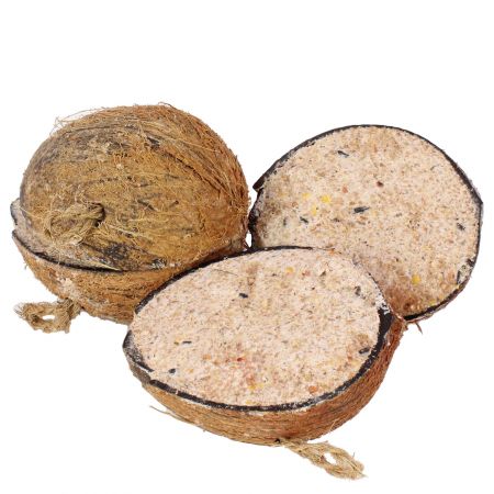 4 halbe Kokosnüsse mit Vogelfutter gefüllt