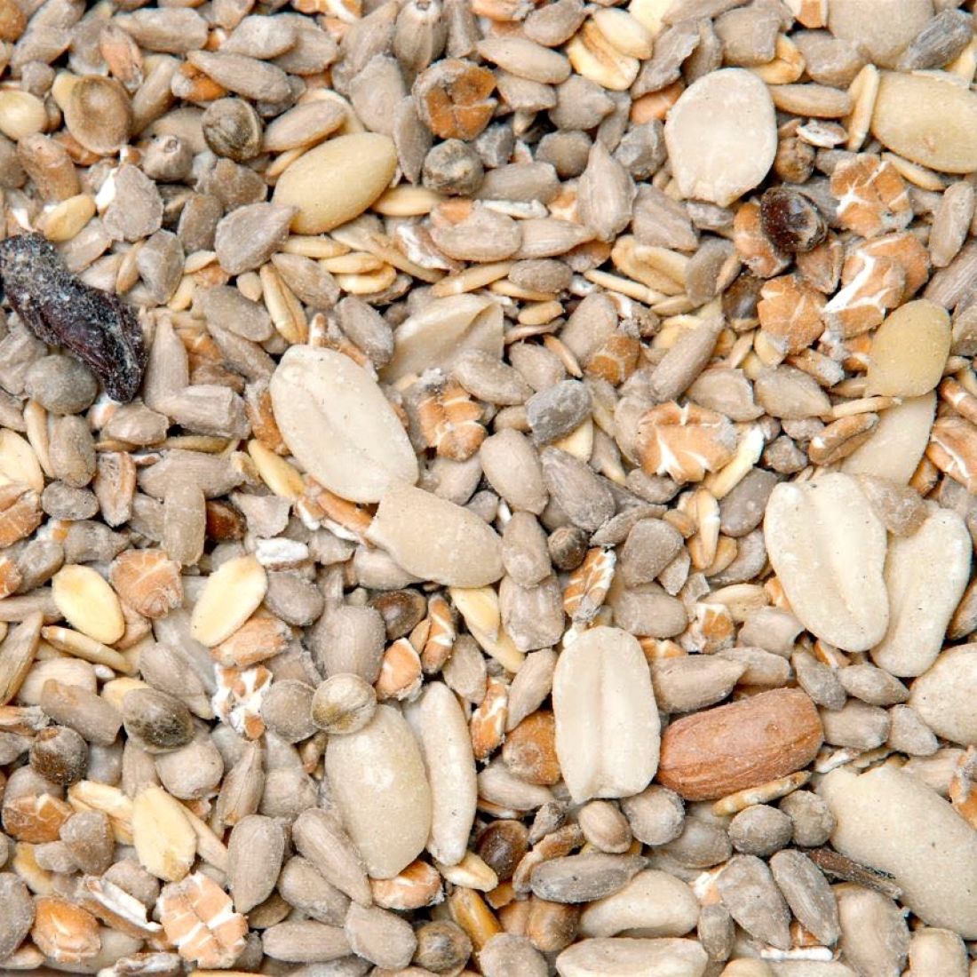 GEVO® Premium-Gartenvogelfutter SCHALENFREI 1 kg