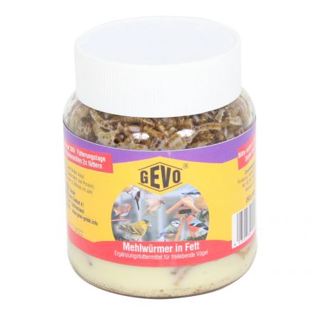GEVO® Mehlwürmer in Fett im 240g Glas