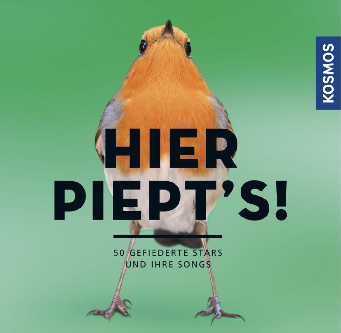 Hier piept's KOSMOS