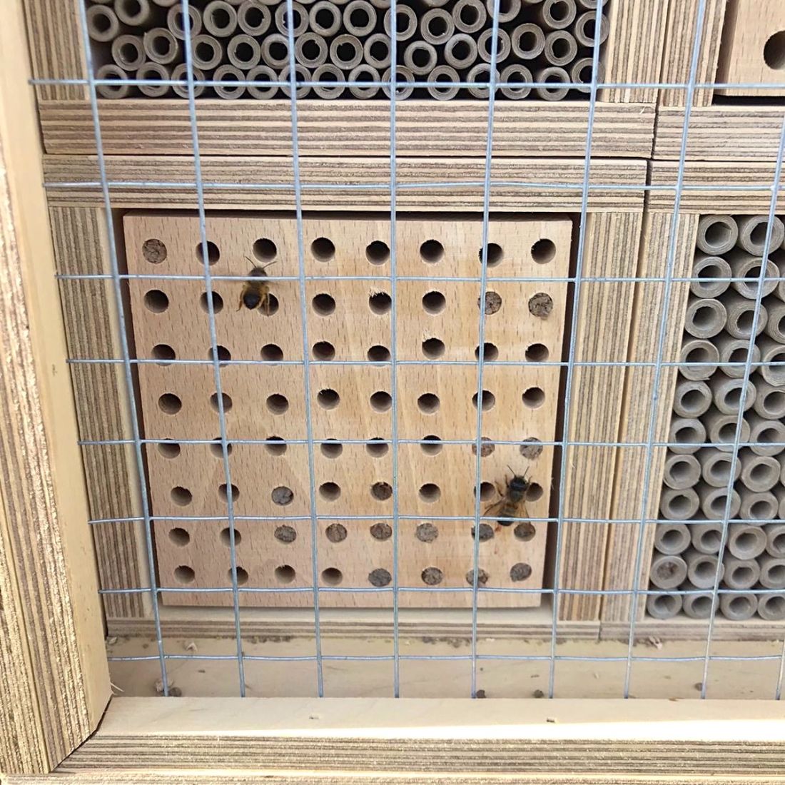 Insektenhotel groß für Wildbienen mit 6 Kammern