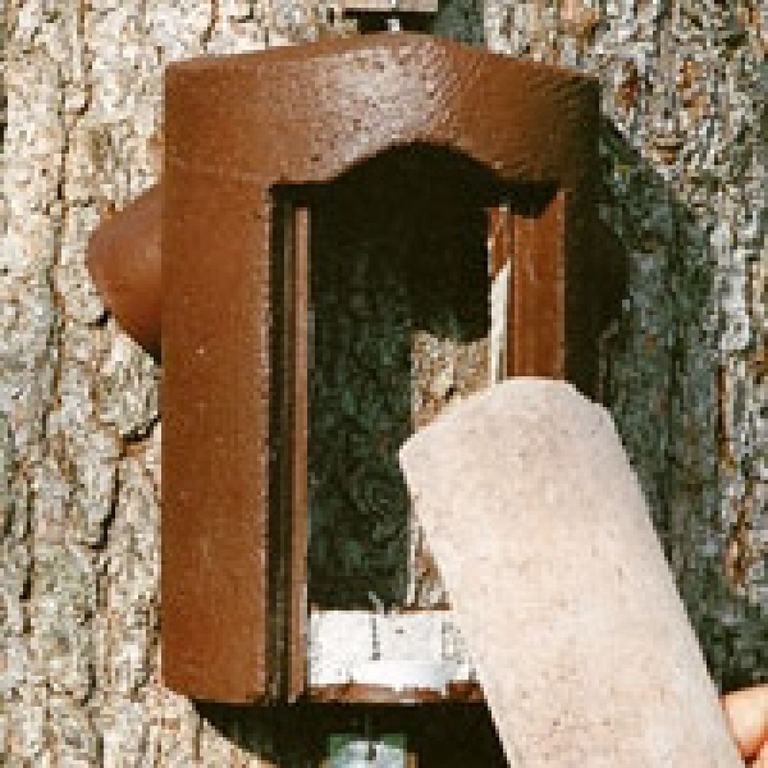 Schwegler Vorderwand Baumläuferhöhle 2B