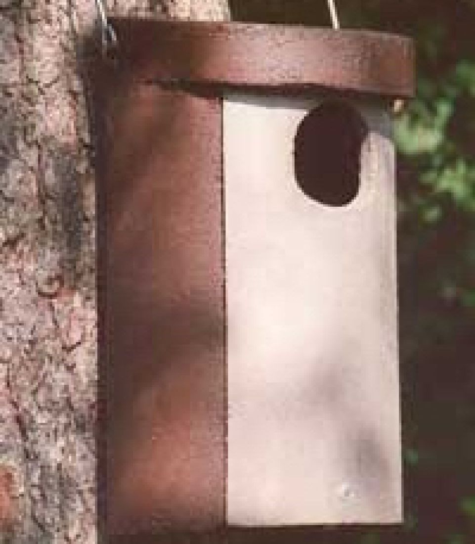 Schwegler Vorderwand Raufußkauz-, Hohltaubenhöhle Nr. 4