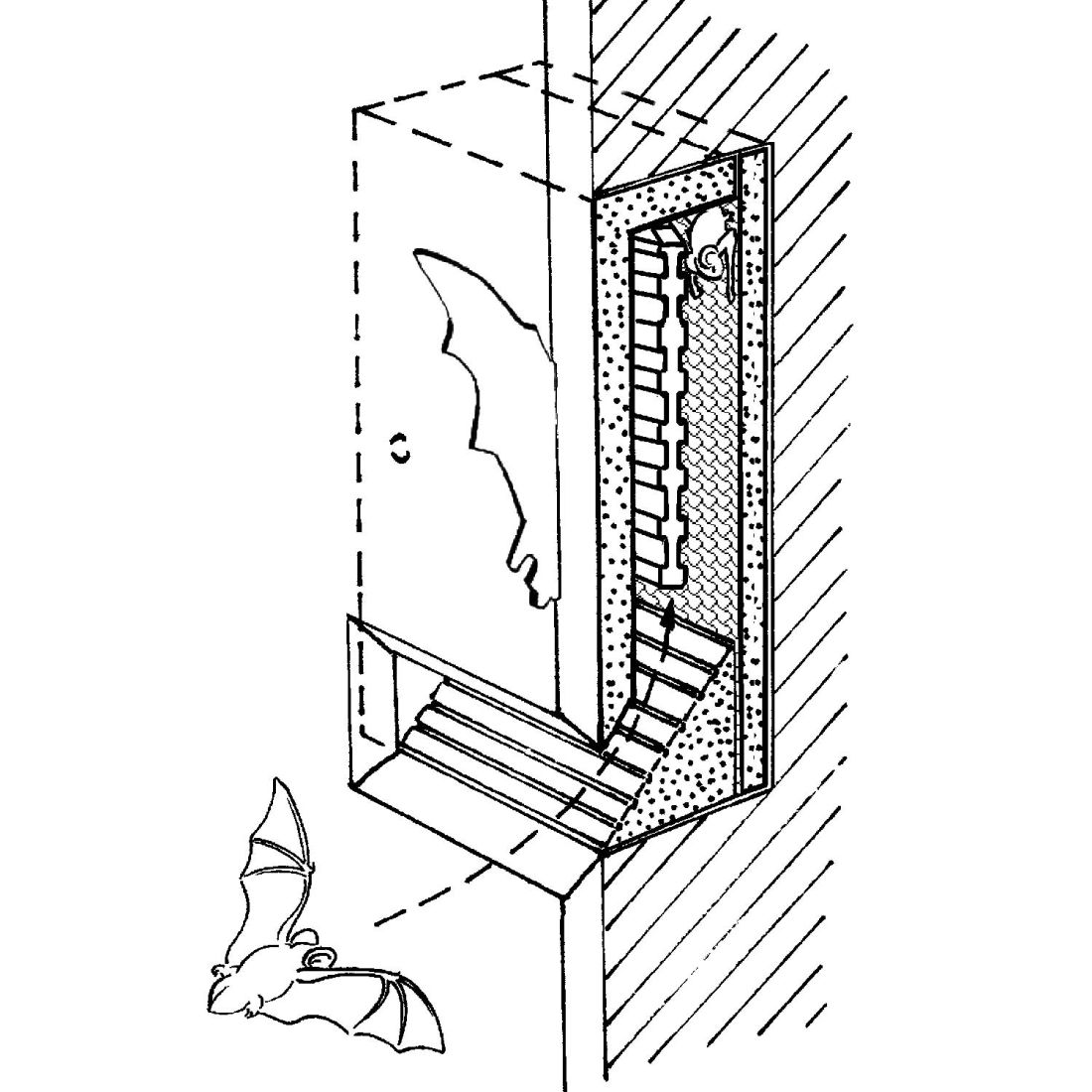 Schwegler Rückwand zu Fledermaus-Einlaufblende 1FE