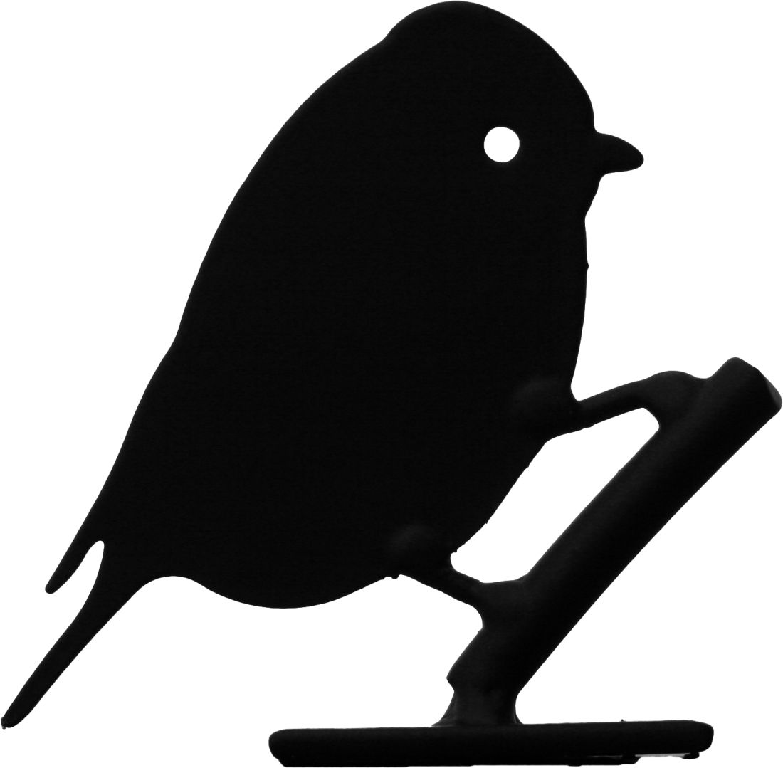 Silhouette Blaumeise