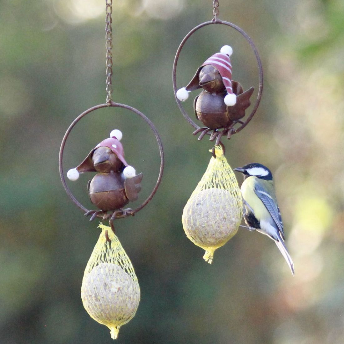 Vogel im Ring z. Hg. 2er Set für Meisenknödel