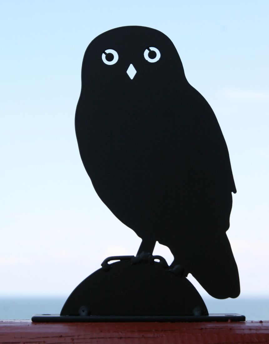 Silhouette Kleine Eule Steinkauz