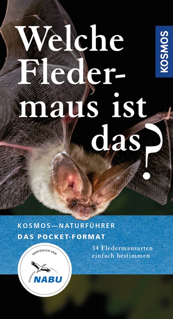 Welche Fledermaus ist das? Kosmos Naturführer