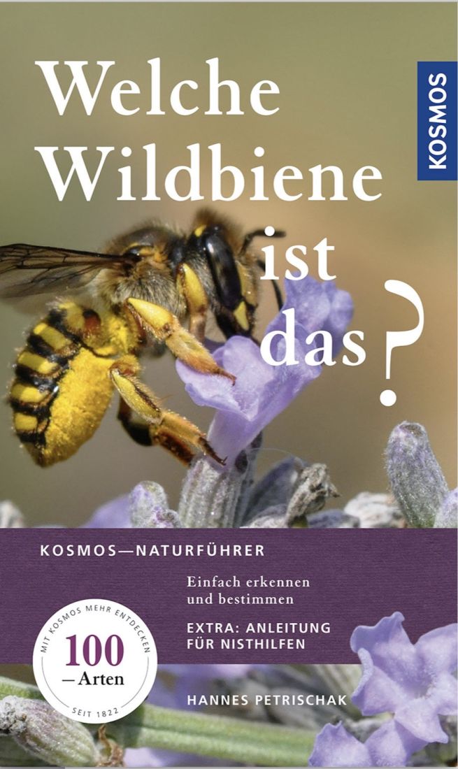 Welche Wildbiene ist das? KOSMOS