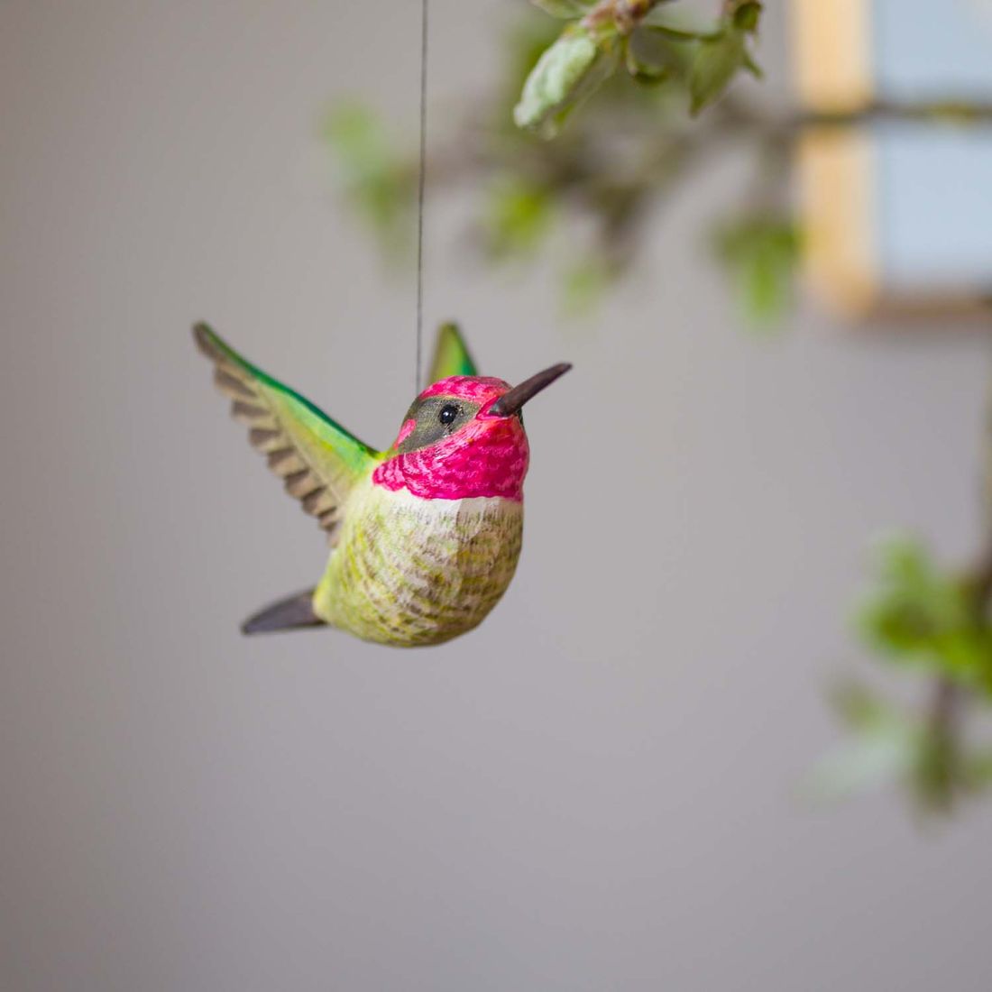 Annakolibri Holzvogel von Wildlife Garden fliegend