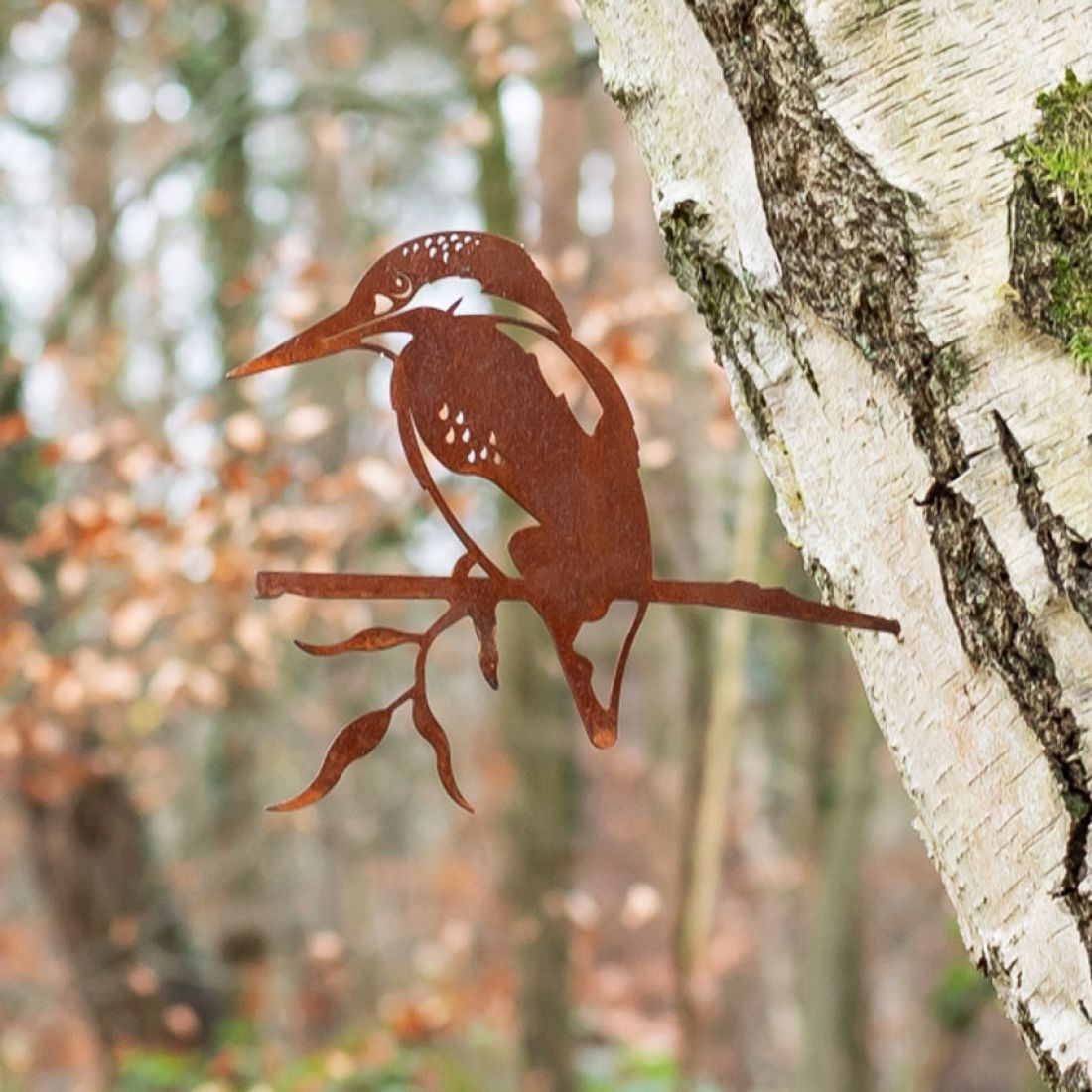 Baumstecker Eisvogel