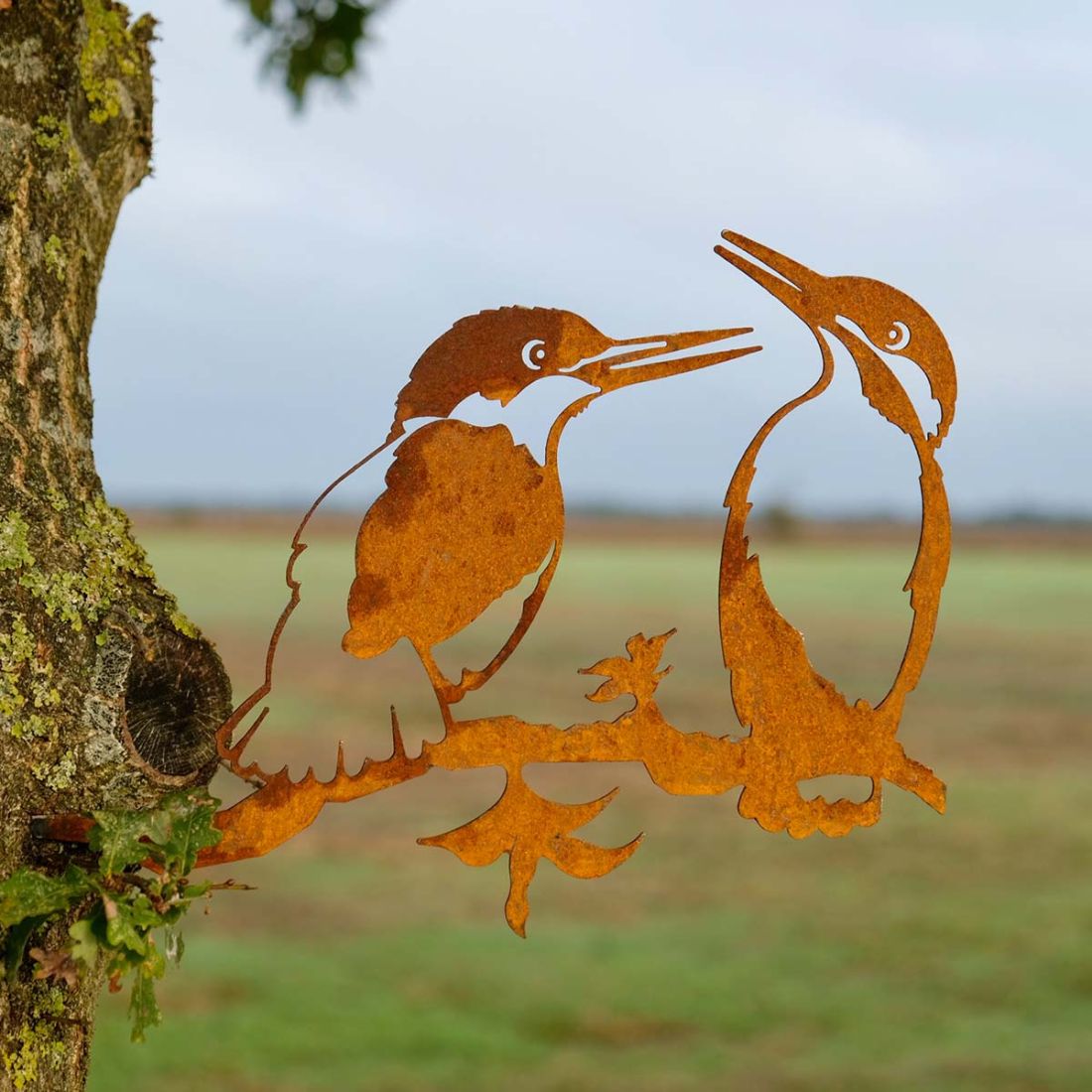 Baumstecker Eisvogel-Paar