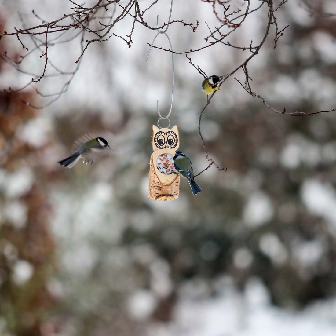 SPARPAKET - 10 kleine Futtereulen mit einem Futterloch aus Vogelfutter und Rindertalg