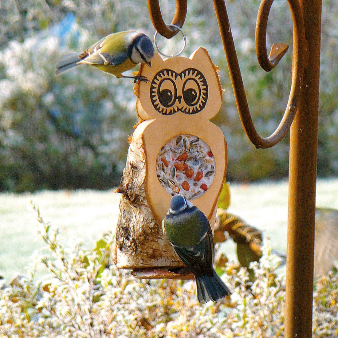 SPARPAKET - 10 Futtereulen mit einem Futterloch aus Vogelfutter und Rindertalg